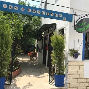 Tay Bodrum